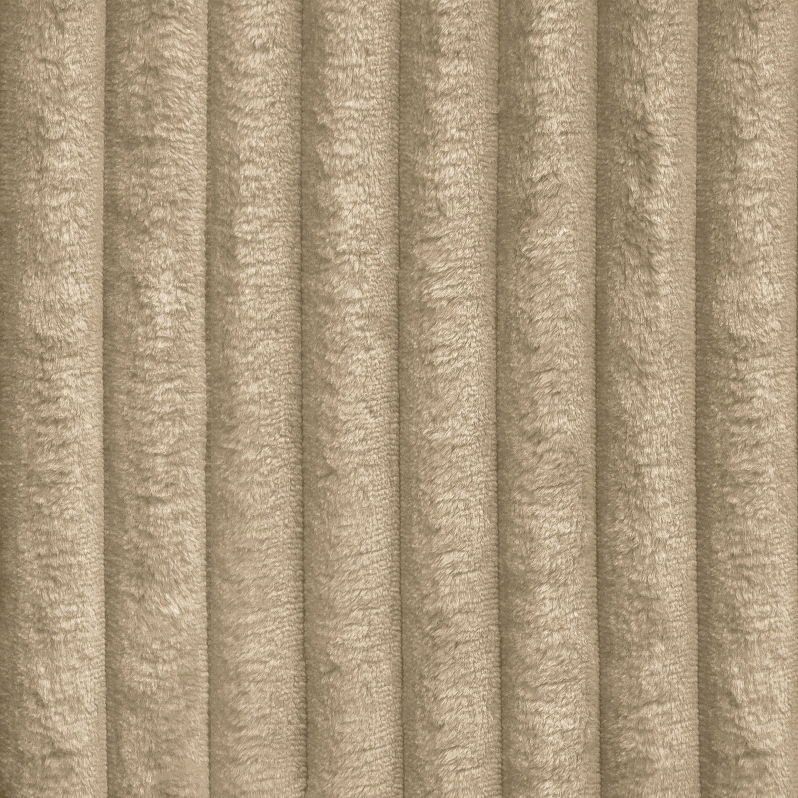 Tilia 11