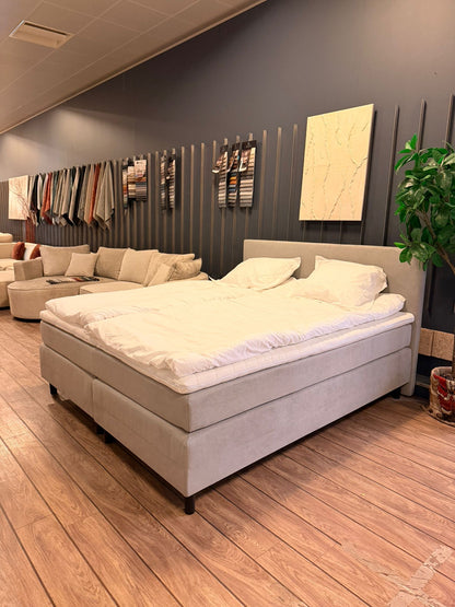 Dream